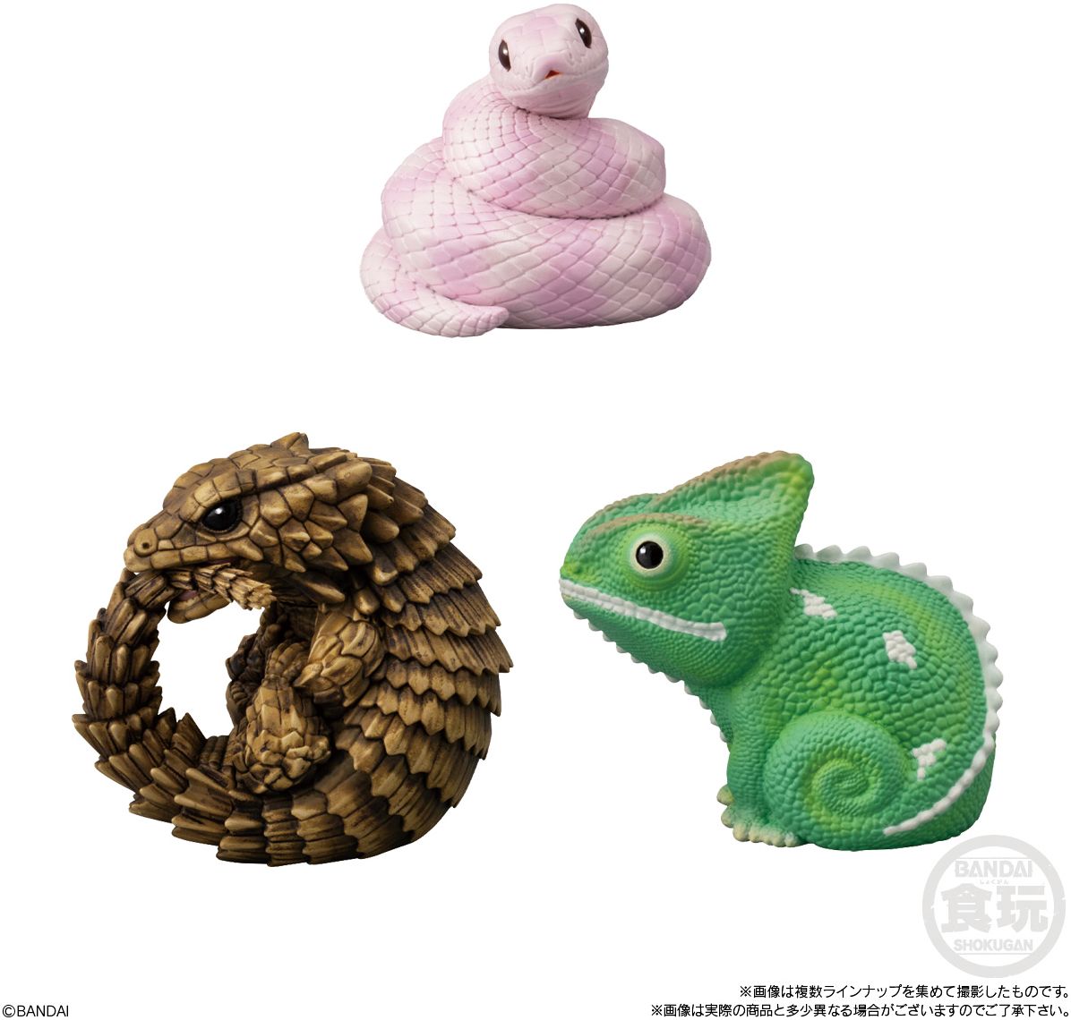 Tenori Friends 11 - Reptiles & Amphibians , Bandai Shokugan Tenori Friends