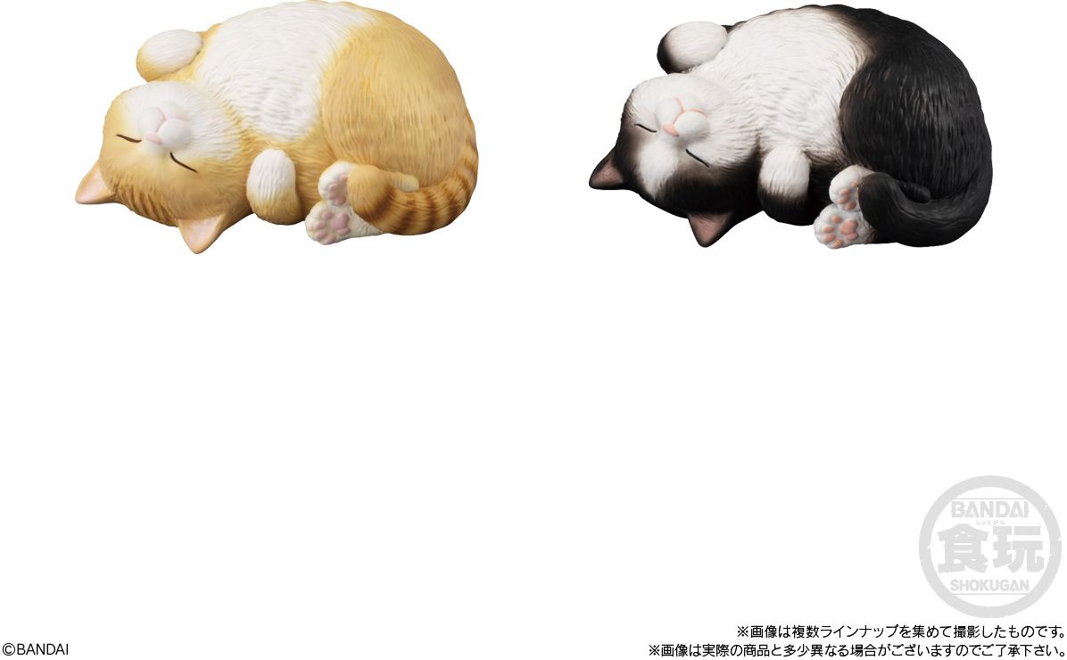 Mocchiri Kororin Cats, Bandai Shokugan Mocchiri Kororin