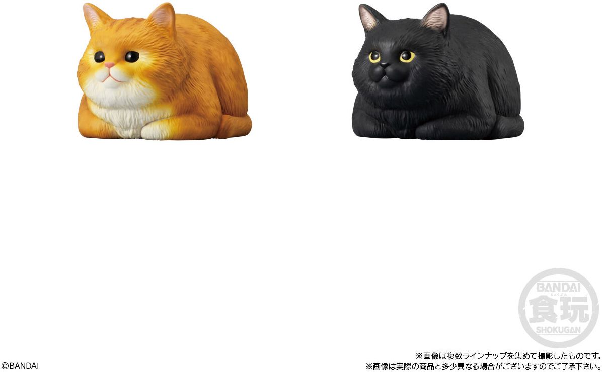 Mocchiri Kororin Cats Bandai Shokugan Mocchiri Kororin