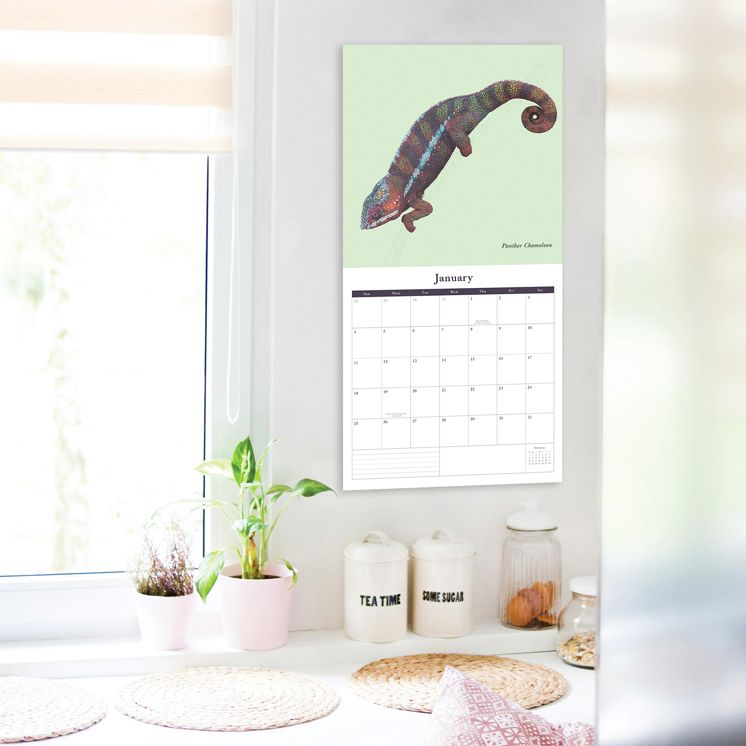 2026 Ben Rothery SQ Calendar