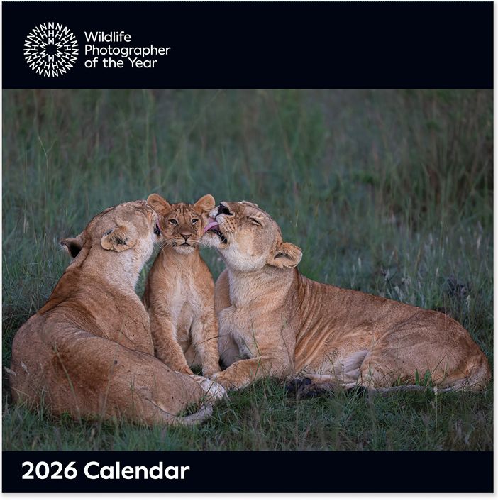 2026 Wildlife Photographer of the Year - SQ Calendar