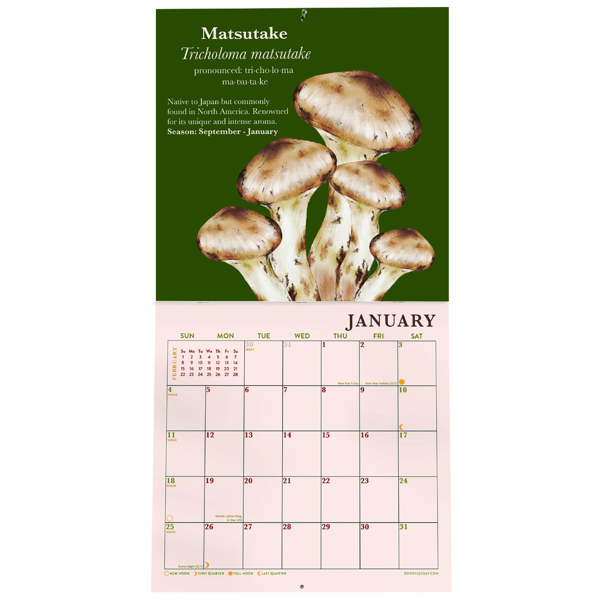 2026 Mushroom Mini Grid Art Calendar