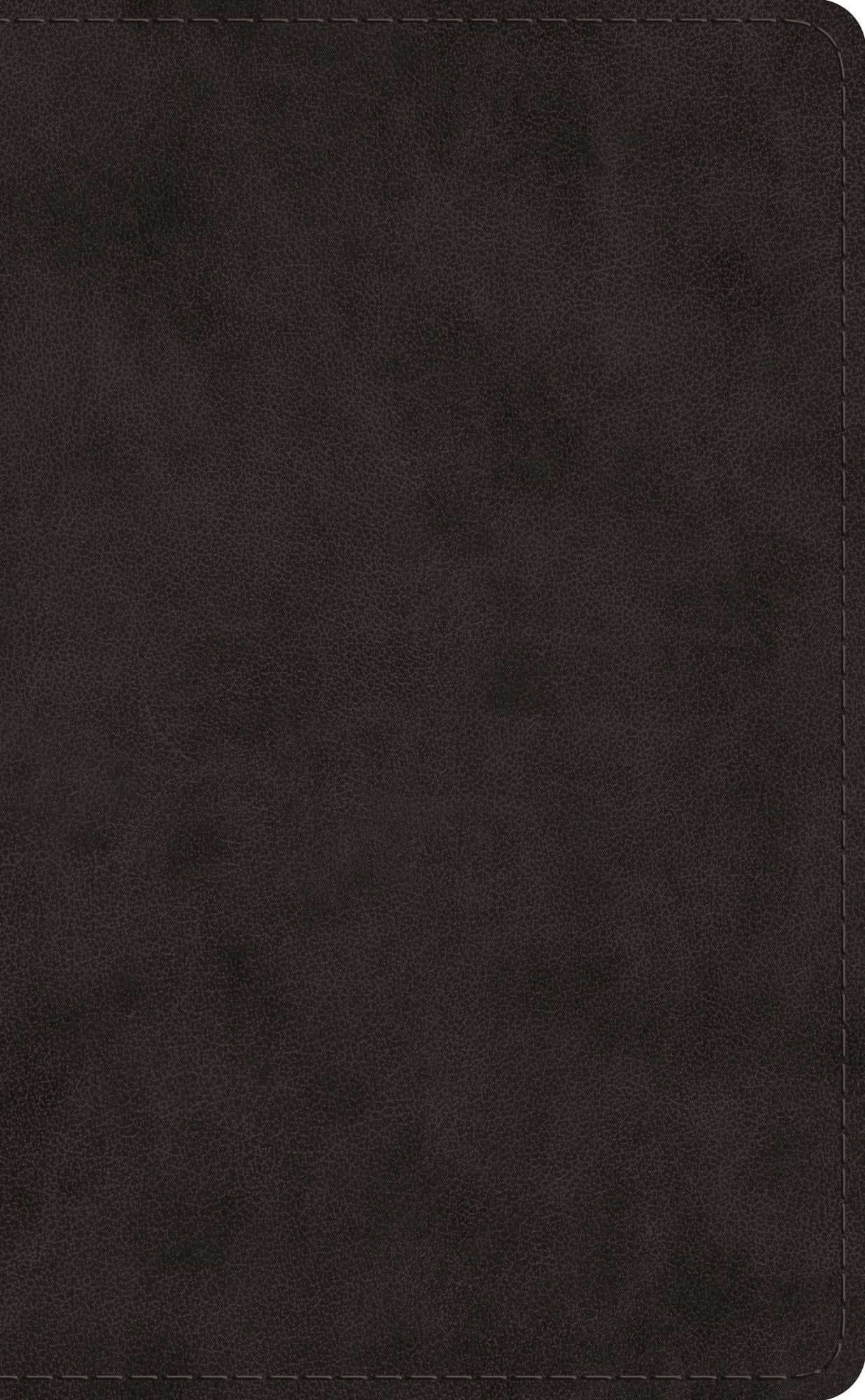 608805603.jpg