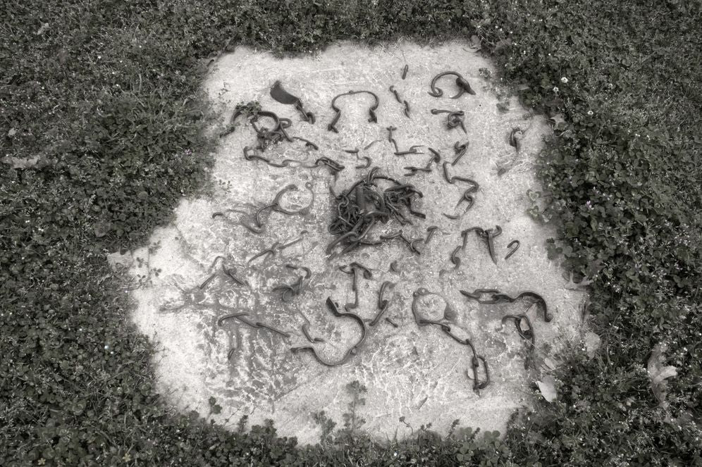 609679555.jpg
