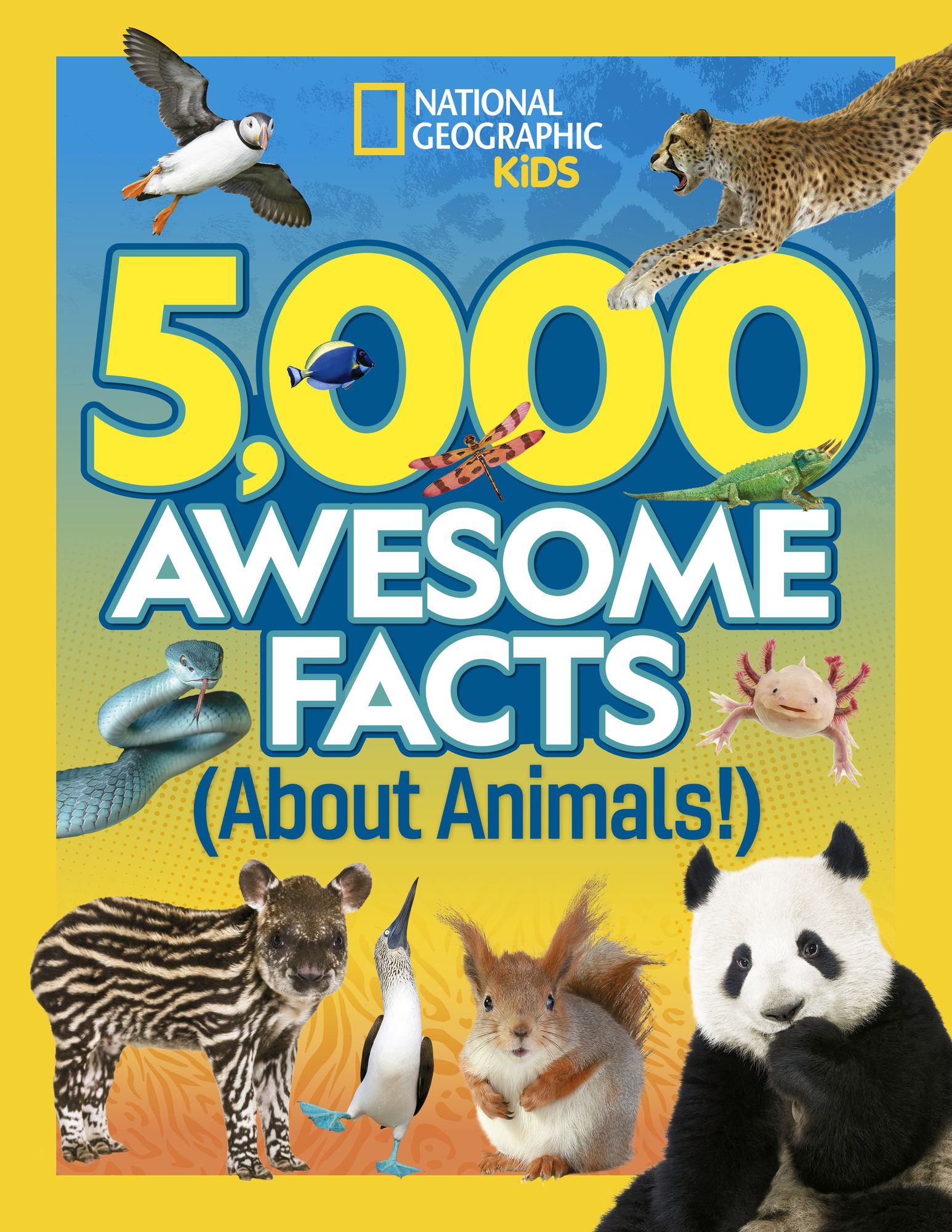 613684322.jpg