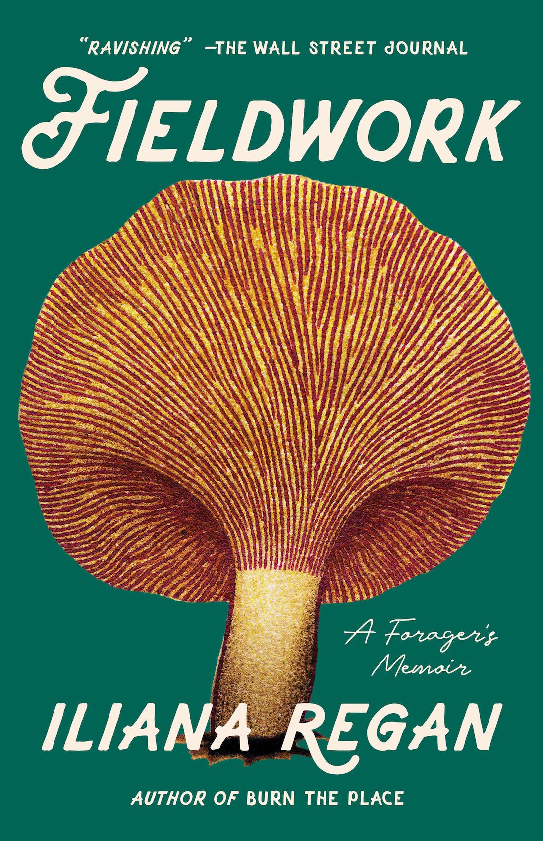 616814845.jpg