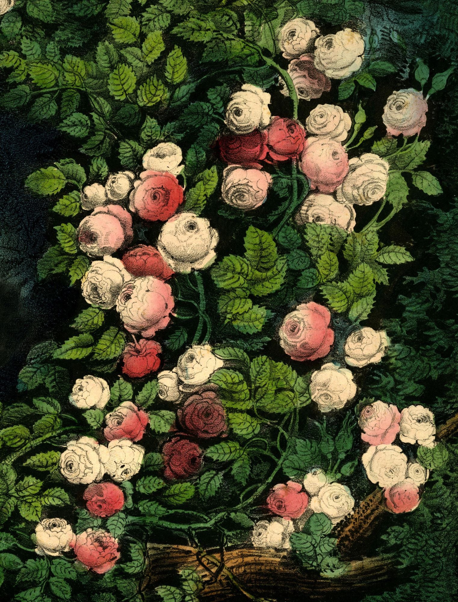 617633304.jpg