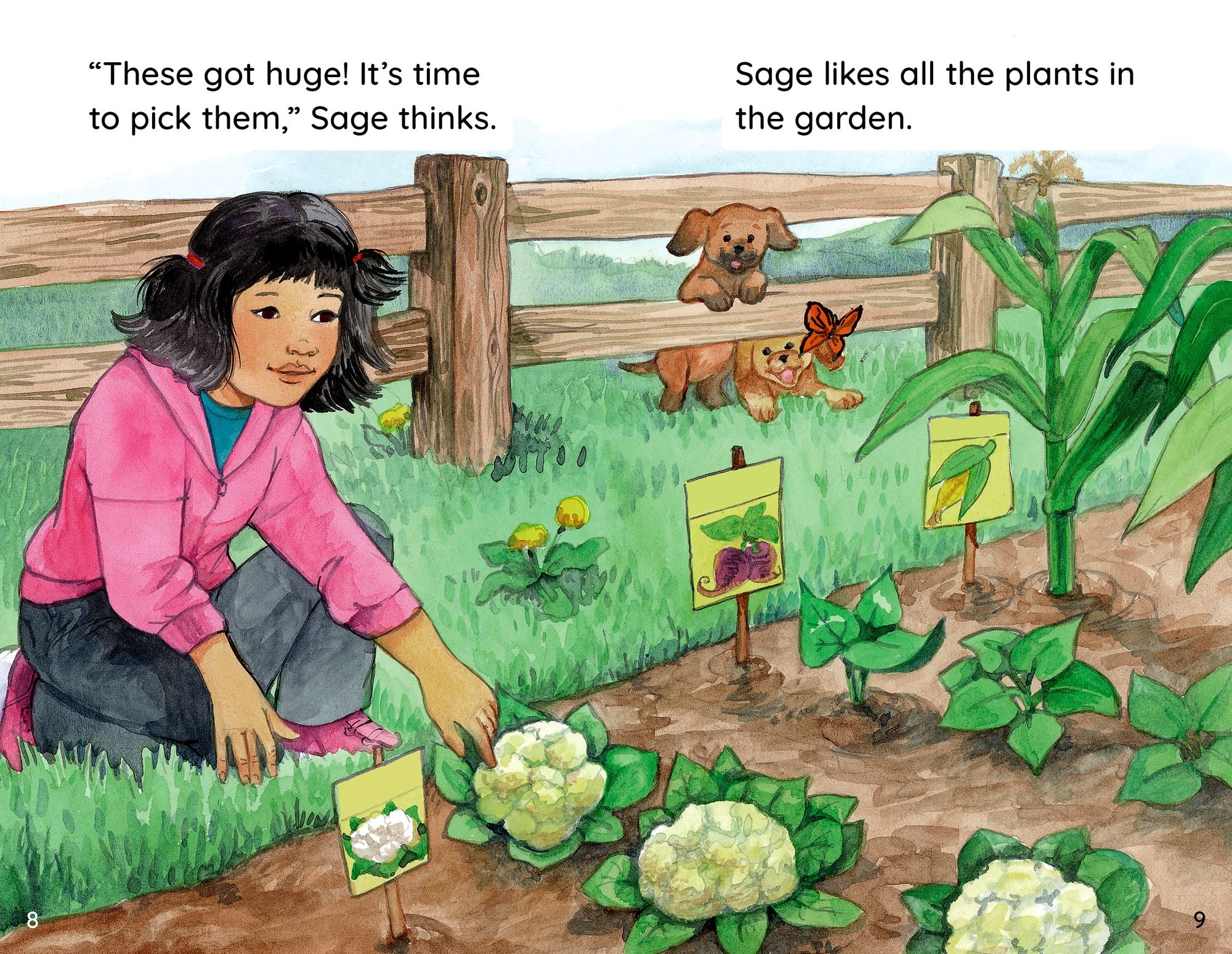 618663173.jpg