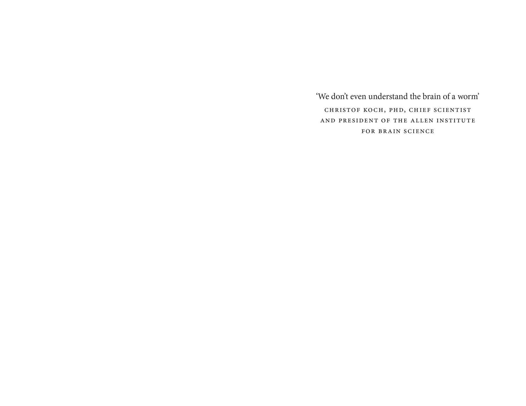 619329070.webp