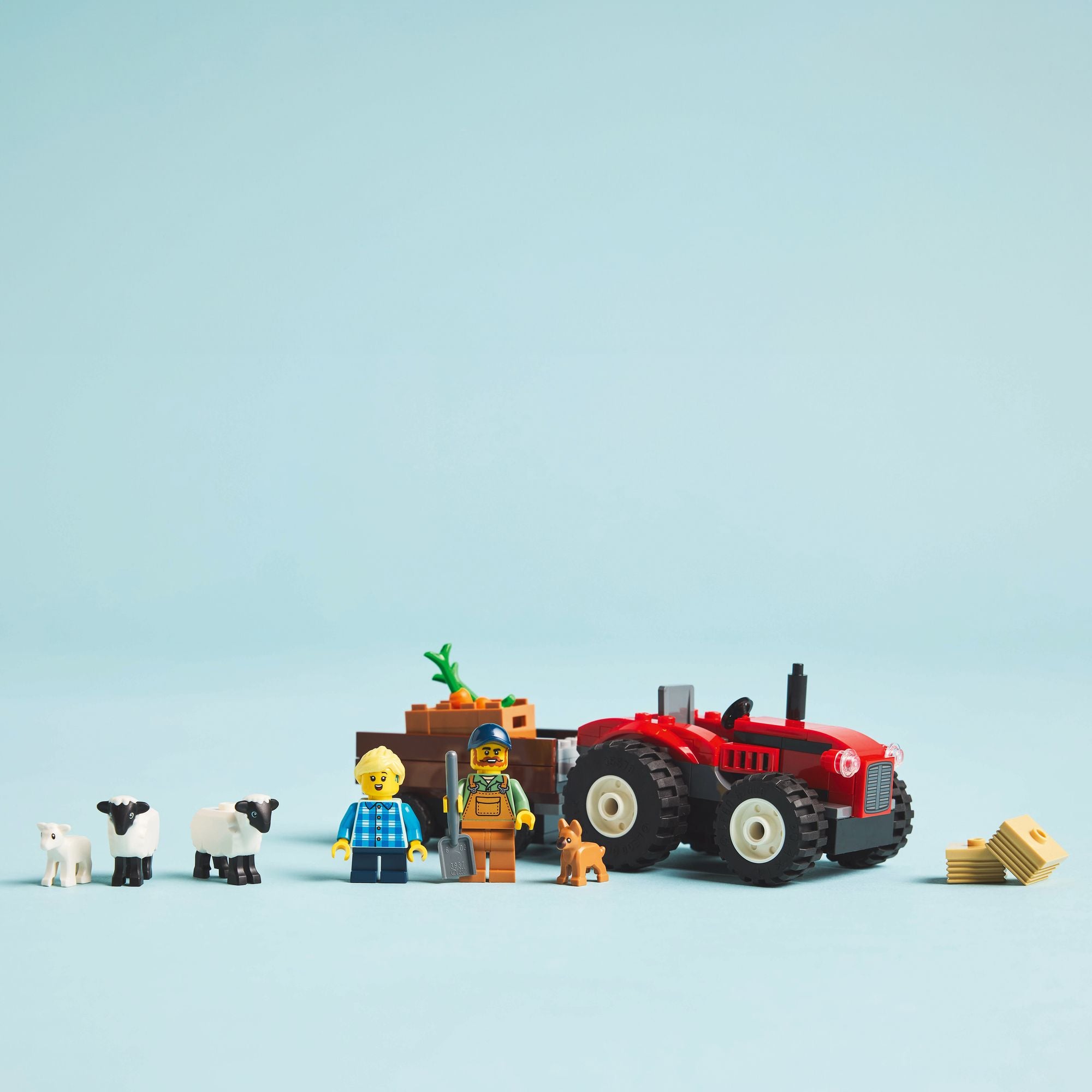 620311550.jpg