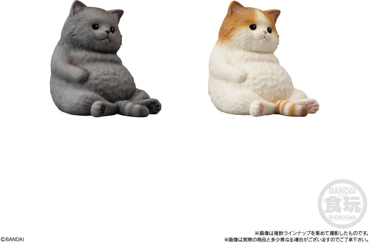 621228729.jpg
