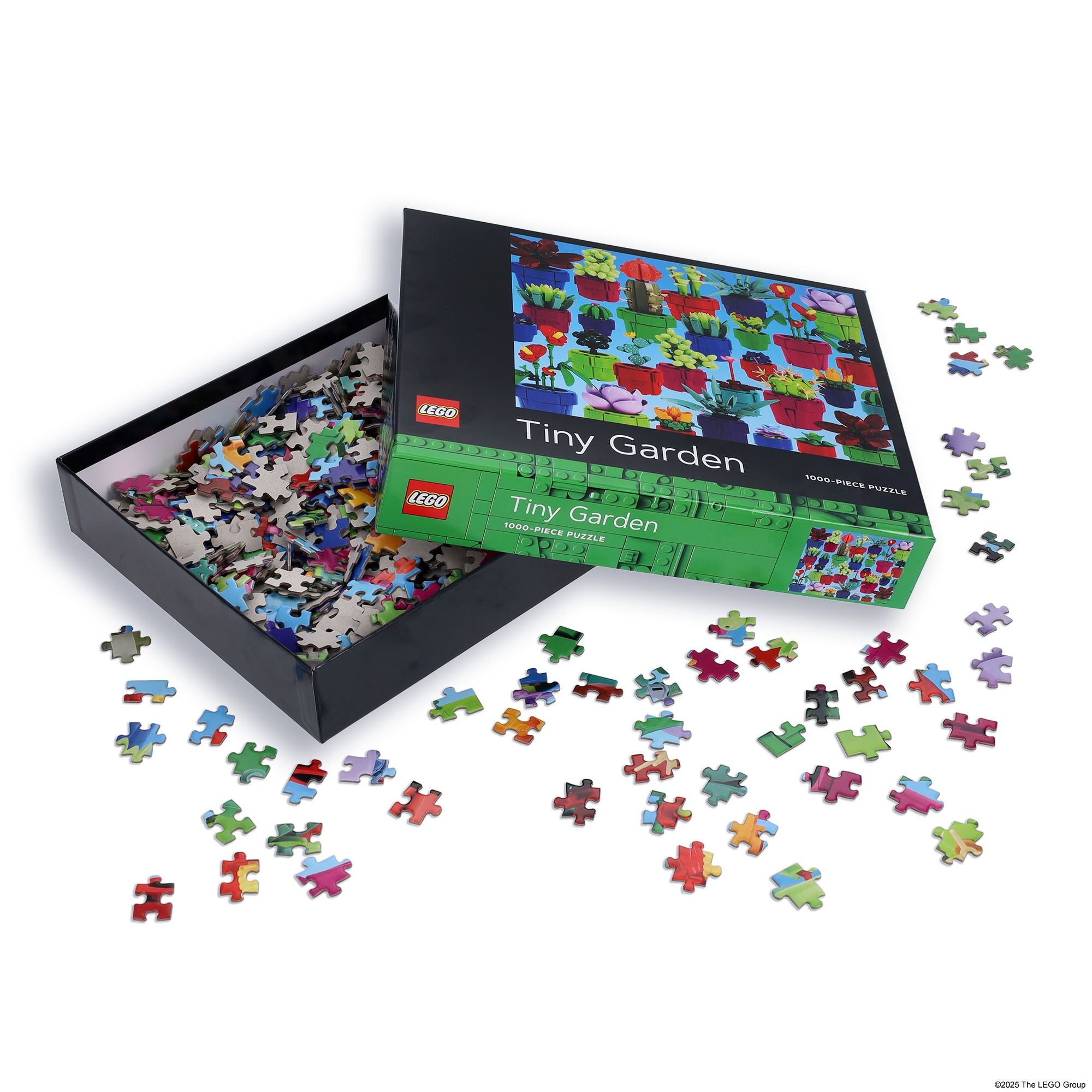 621367504.jpg