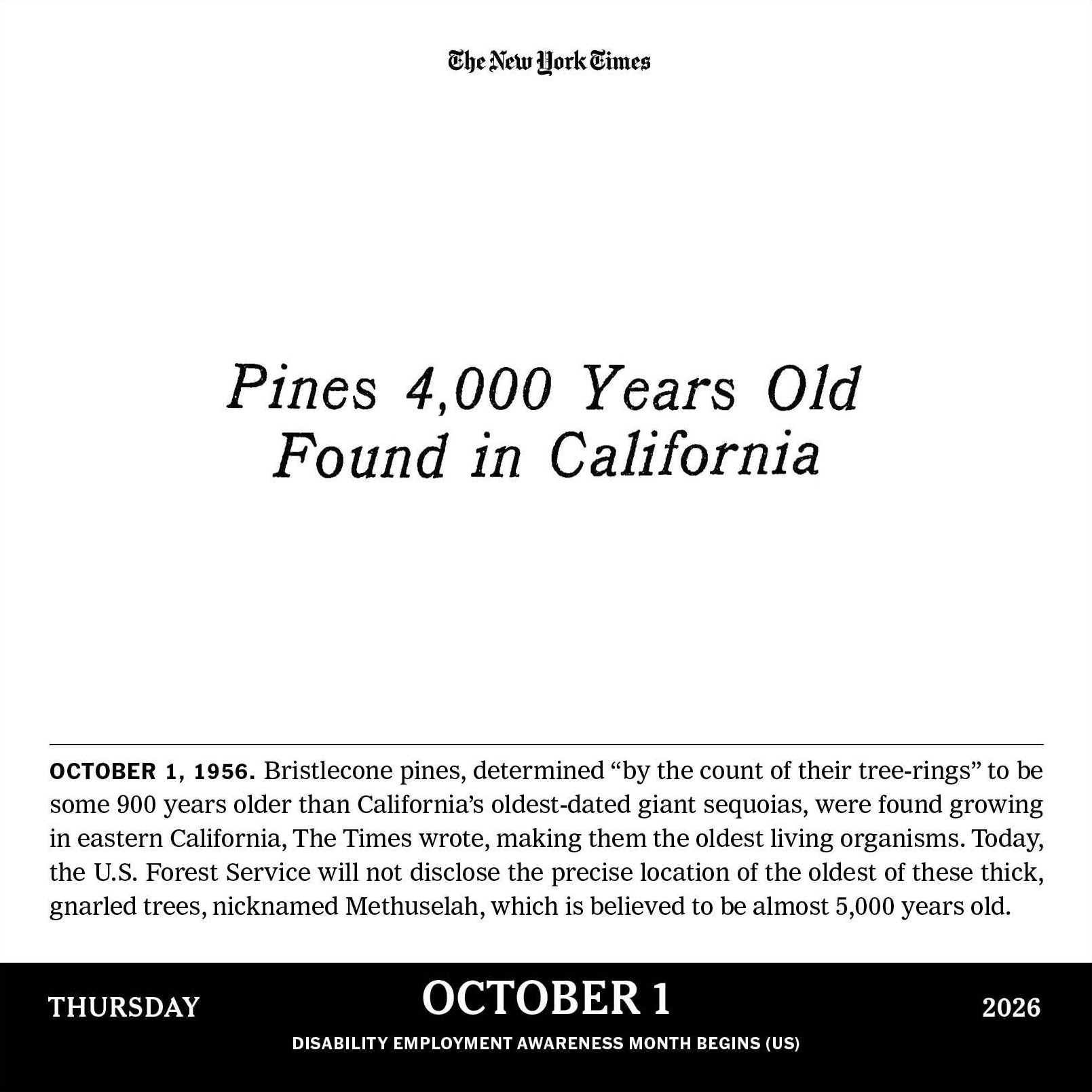 621829739.jpg