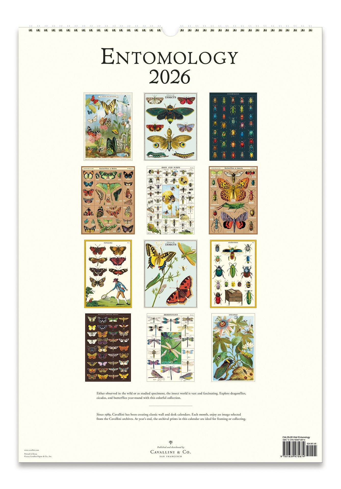622577663.jpg