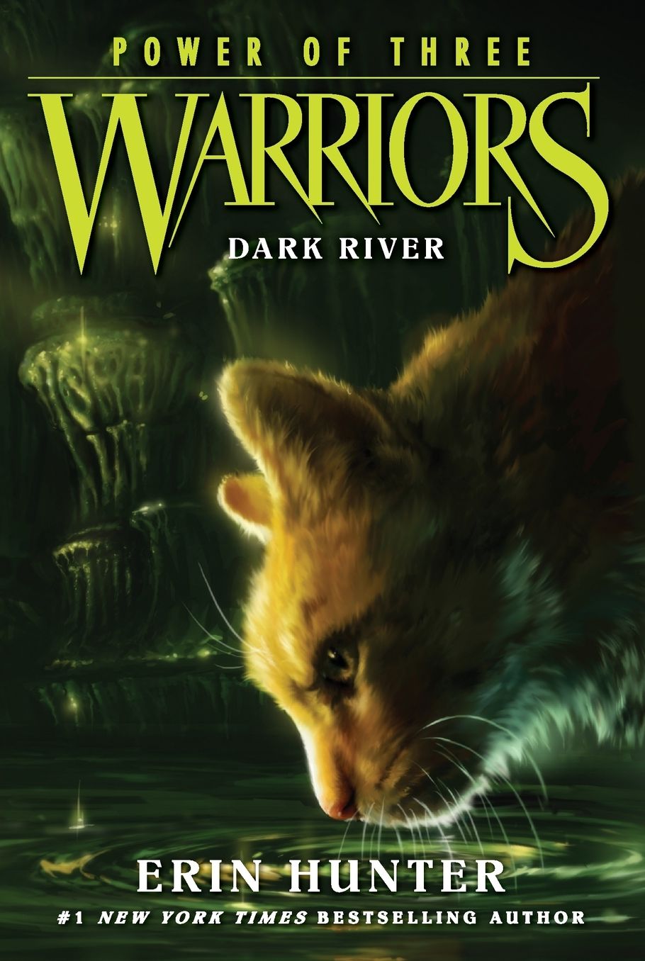 Dark River (Warriors: Power of Three Series #2), image size:910x1356