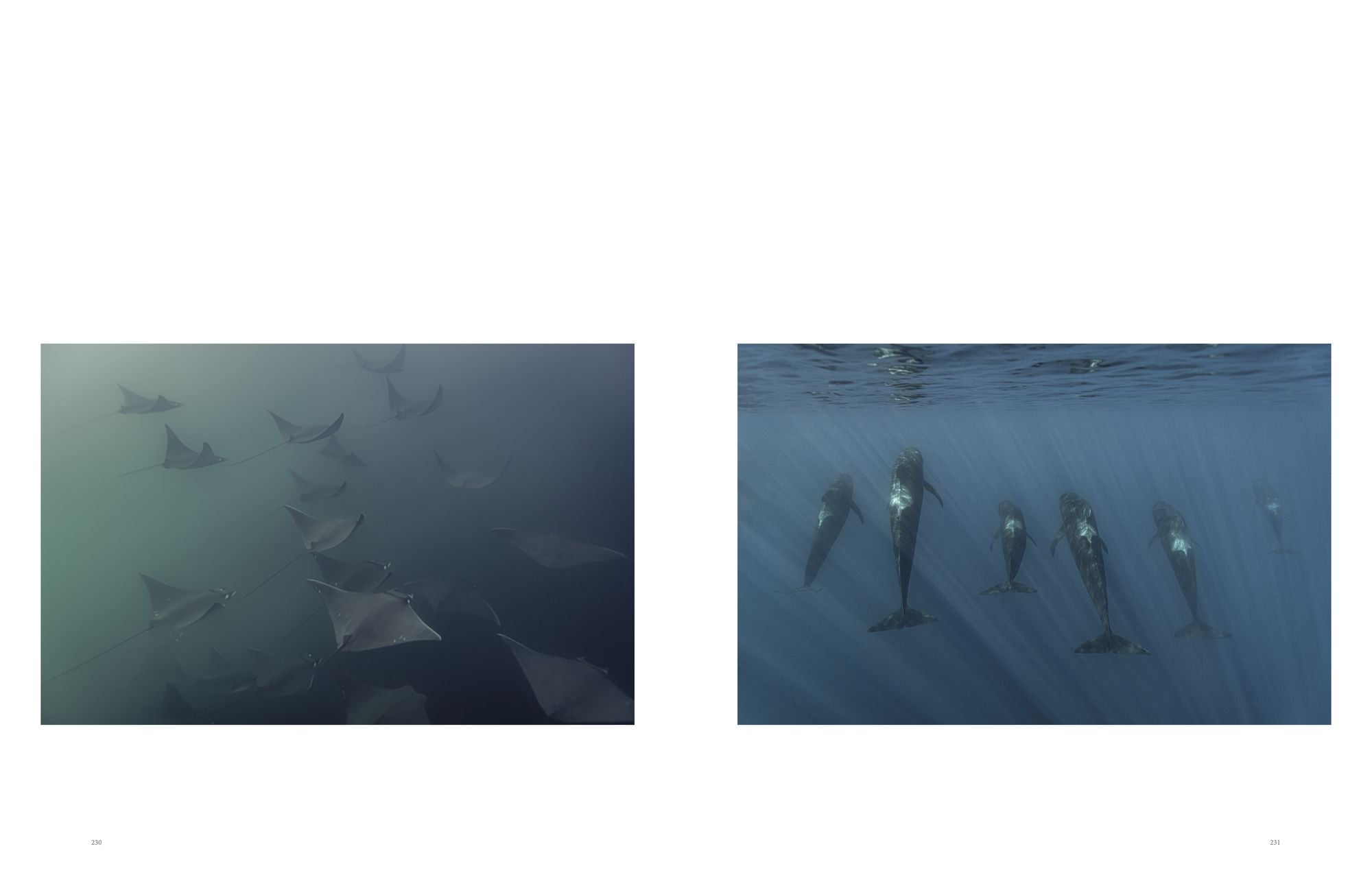 622768347.jpg
