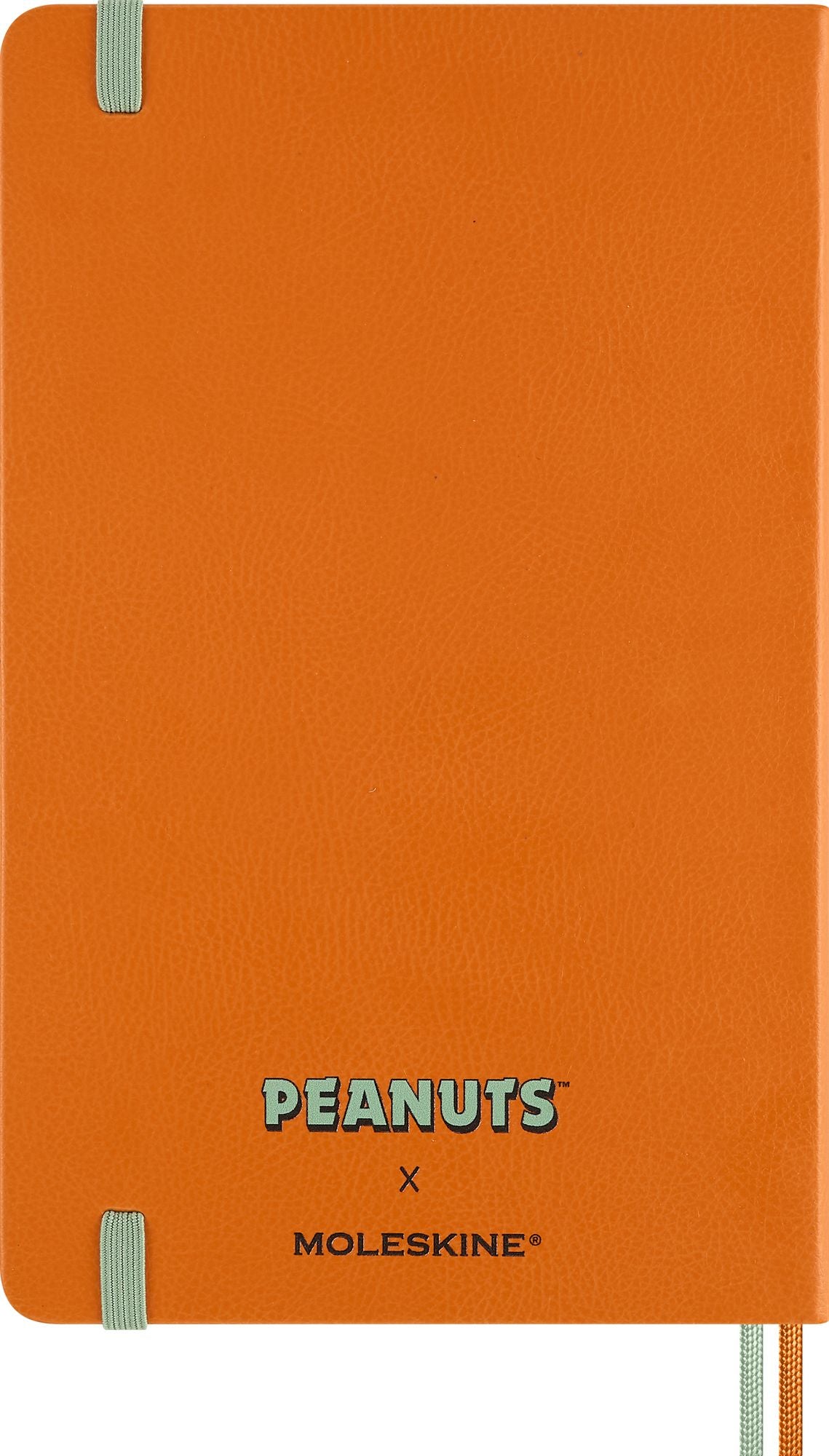 623532904.jpg