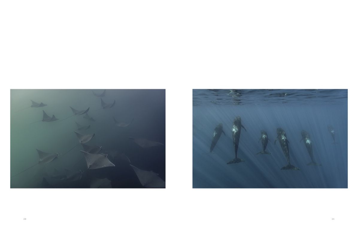 623649487.jpg