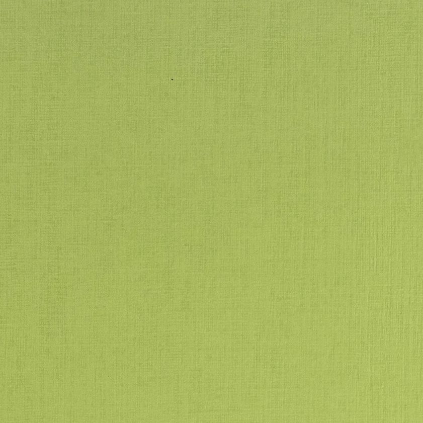 Ecoqua Plus Journal, A4, Stitch-Bound, Lined, Lime