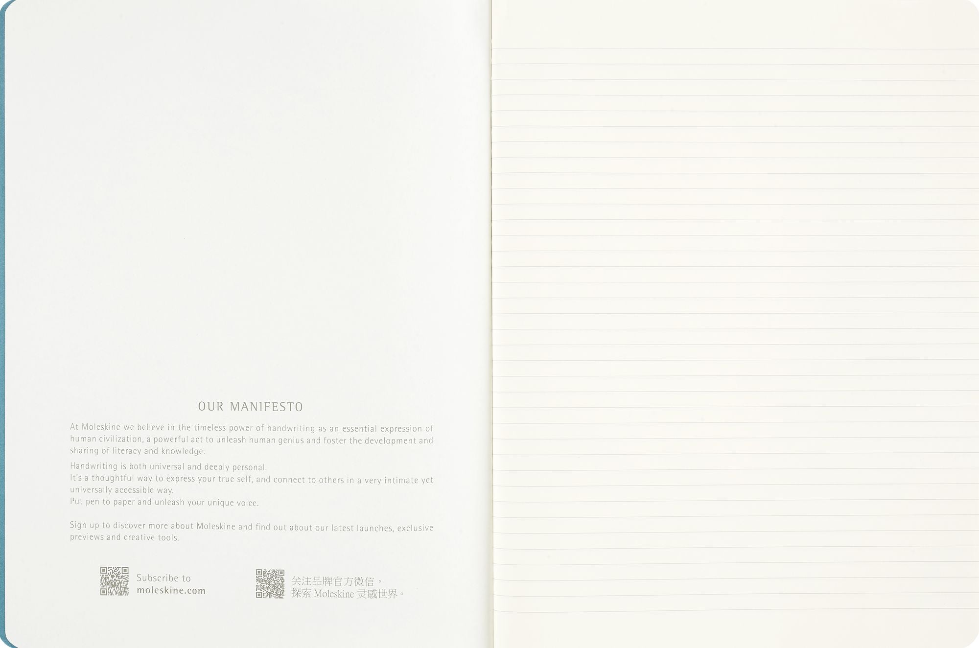 Moleskine Limited Edition Peanuts Cahier Journal, Soft Cover, XL (7.5" x 9.75"), Ruled, Brisk Blue