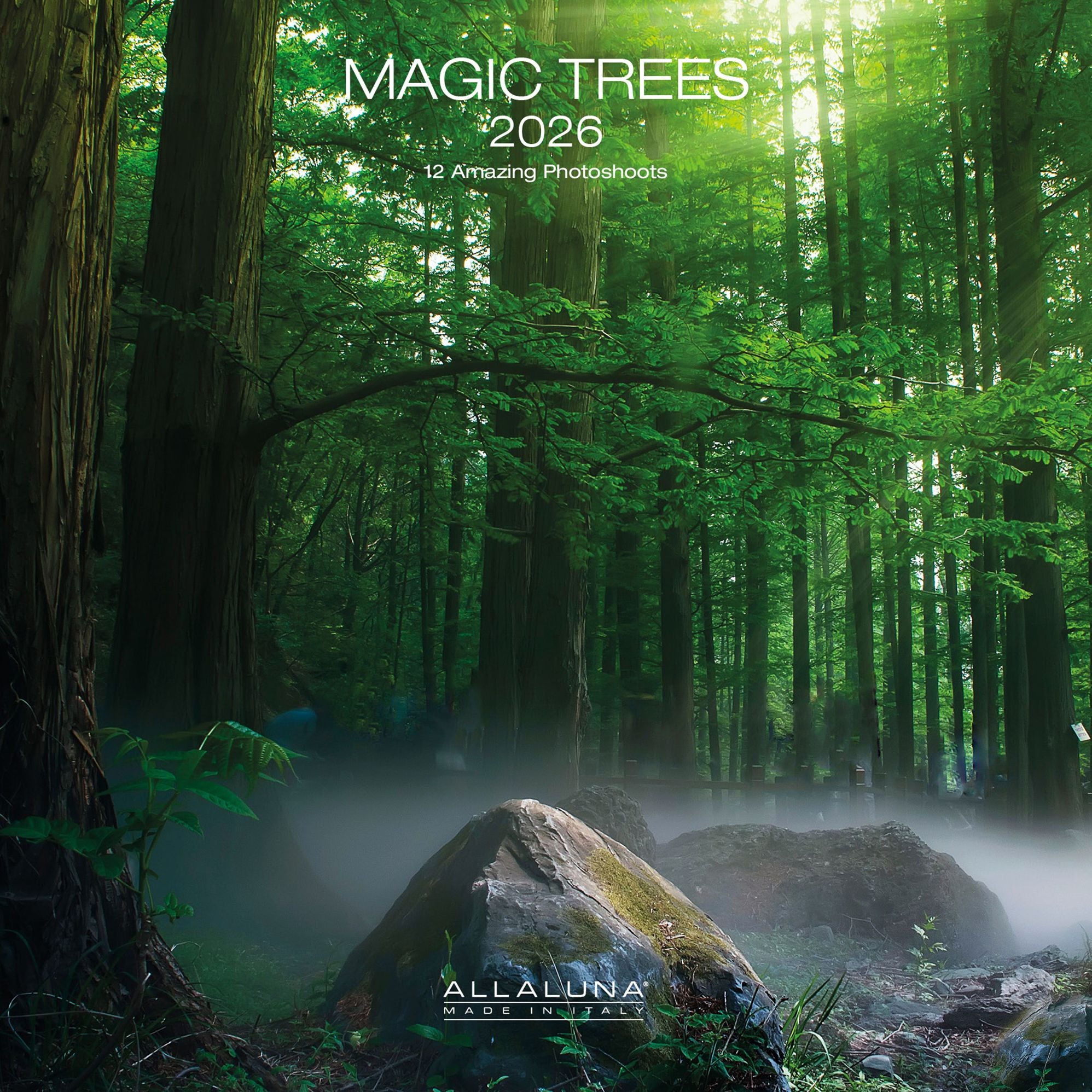 2026 Magic Trees Wall Calendar