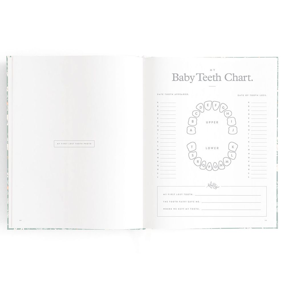 Baby Book Forest Friends Sage