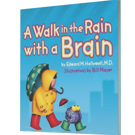 A Walk in the Rain with a Brain
