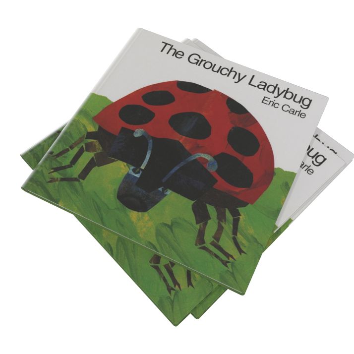 The Grouchy Ladybug