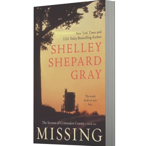 Missing (Secrets of Crittenden County Series #1)