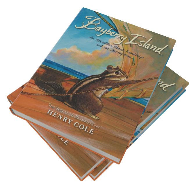 Brambleheart #2: Bayberry Island: An Adventure About Friendship and the Journey Home