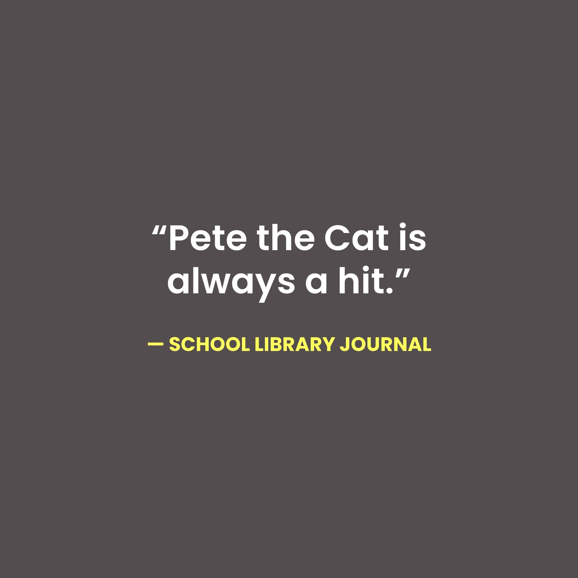 Pete the Cat's Not So Groovy Day