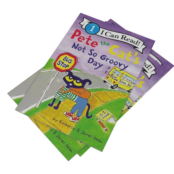 Pete the Cat's Not So Groovy Day