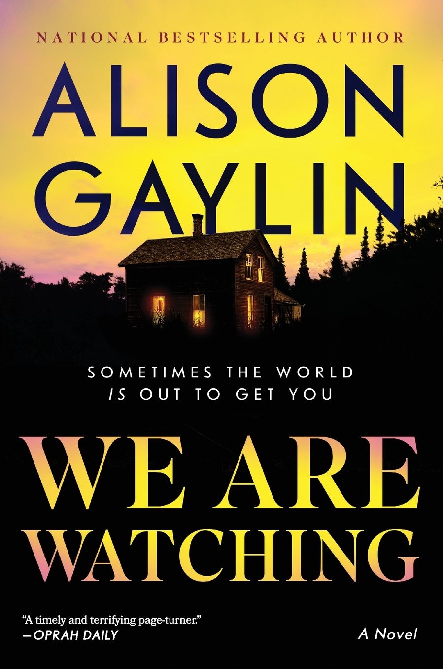 We Are Watching: A Novel