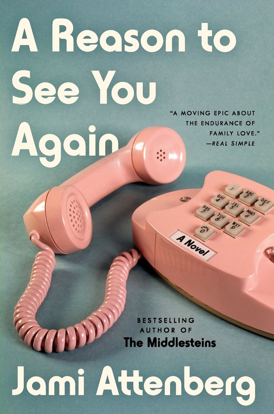 A Reason to See You Again: A Novel