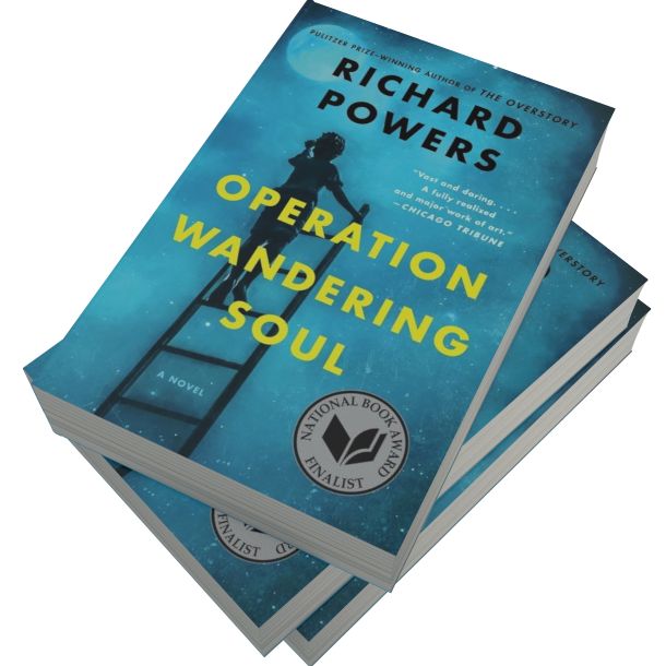 Operation Wandering Soul