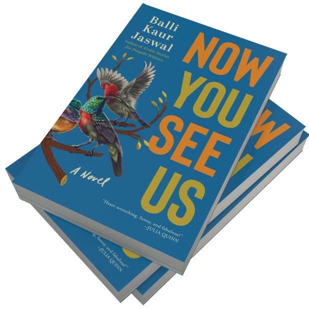 Now You See Us: A Novel