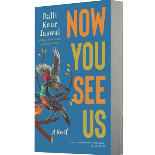 Now You See Us: A Novel