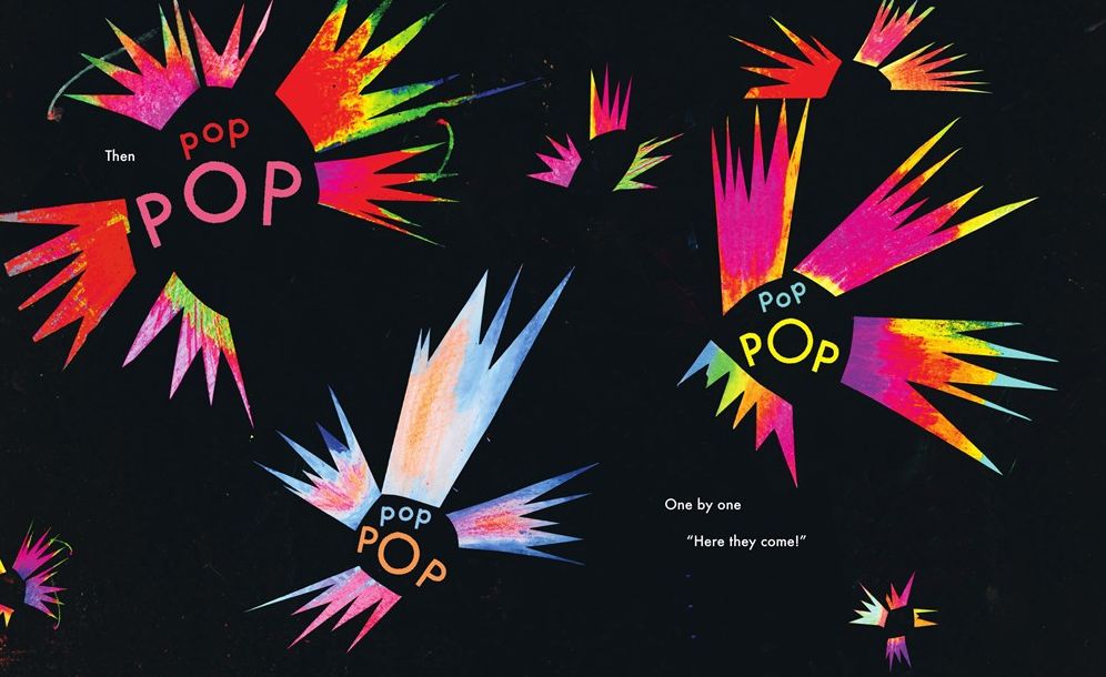 Fireworks (Caldecott Medal Winner)