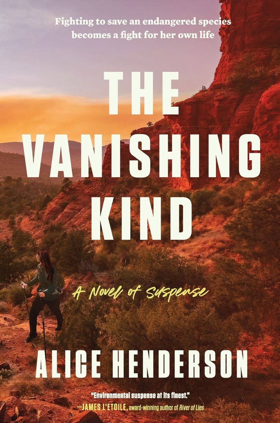The Vanishing Kind: A Novel of Suspense