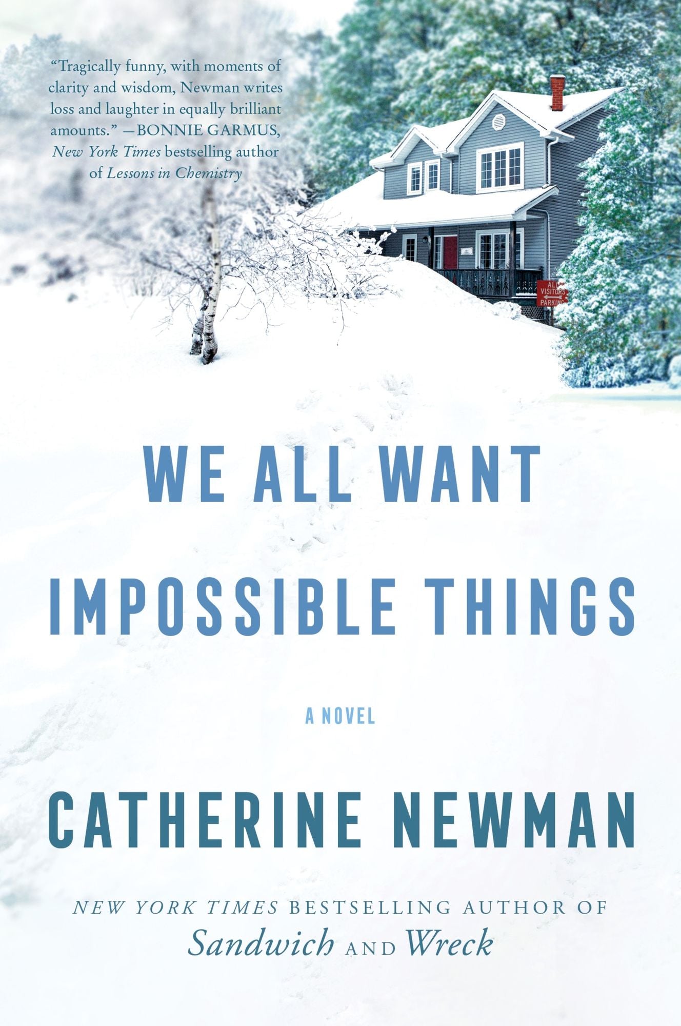 We All Want Impossible Things: A Novel