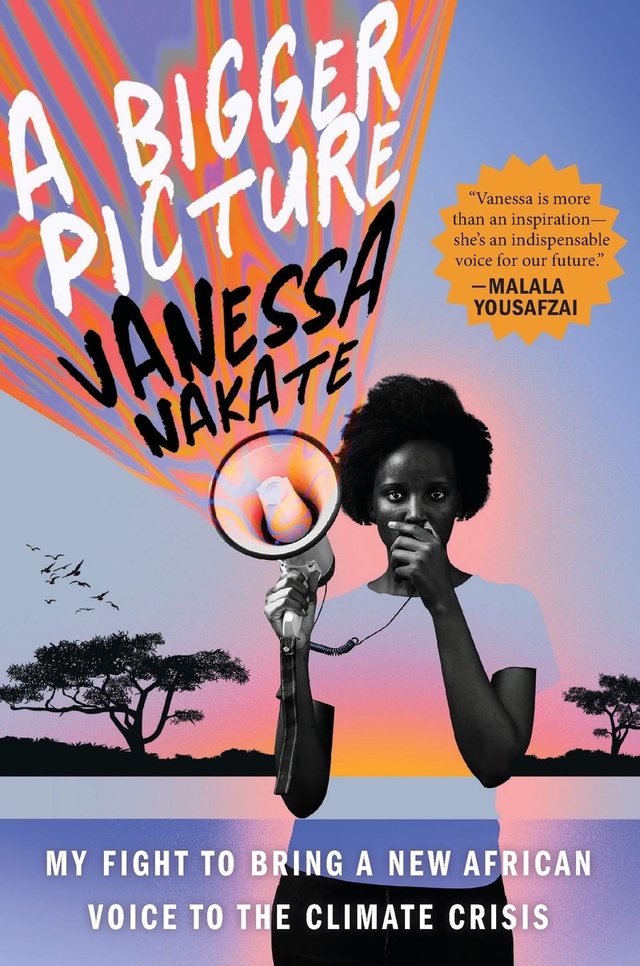 A Bigger Picture: My Fight to Bring a New African Voice to the Climate Crisis