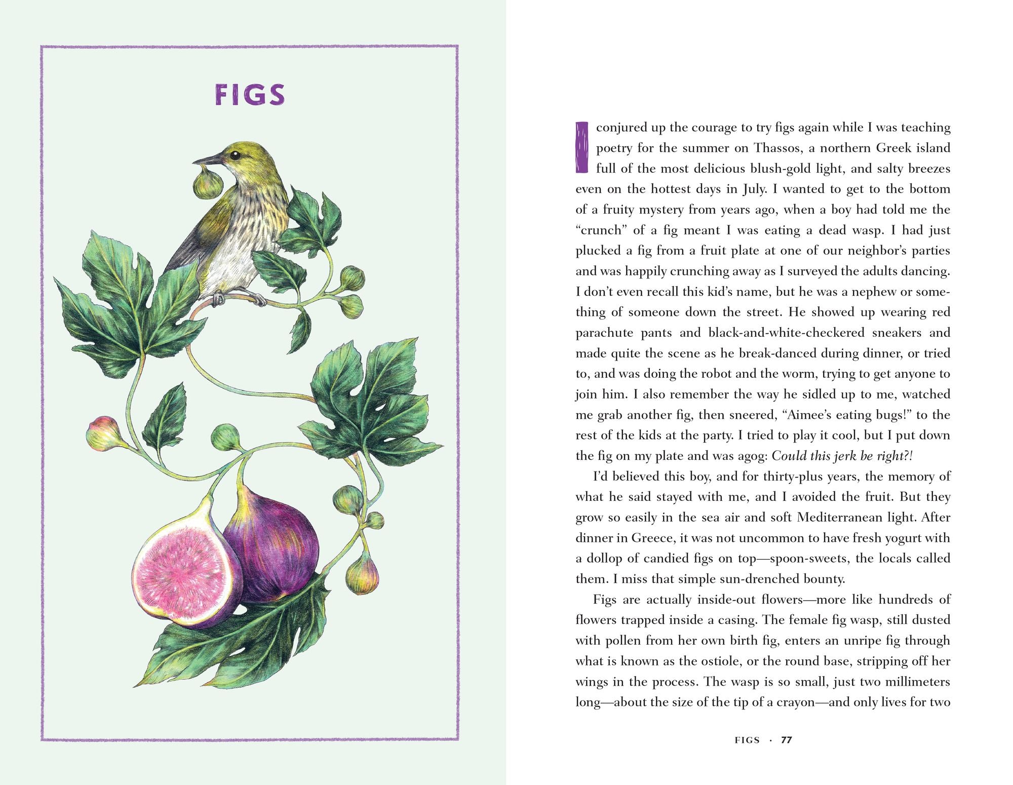 Bite by Bite: Nourishments and Jamborees