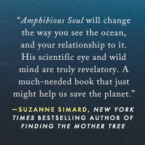 Amphibious Soul: Finding the Wild in a Tame World