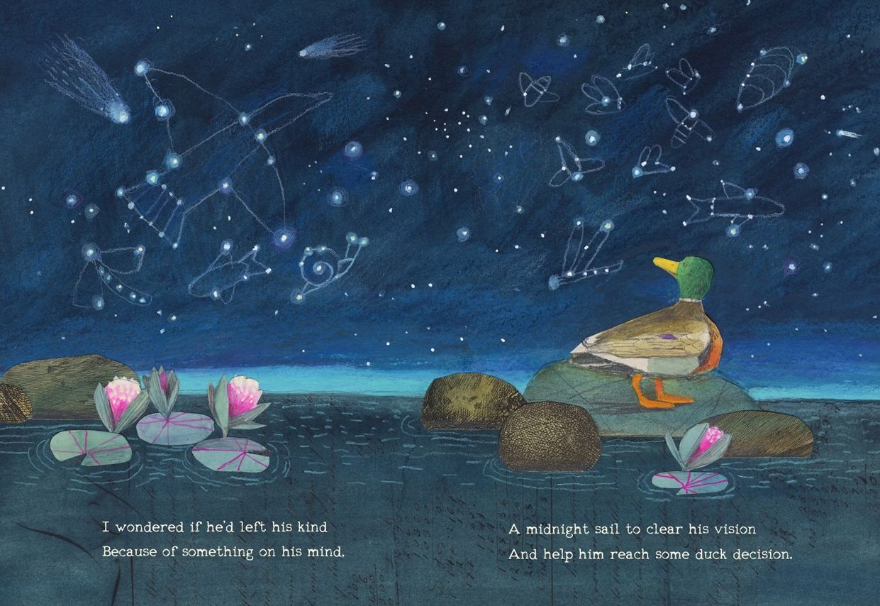 The Duck Can't Sleep