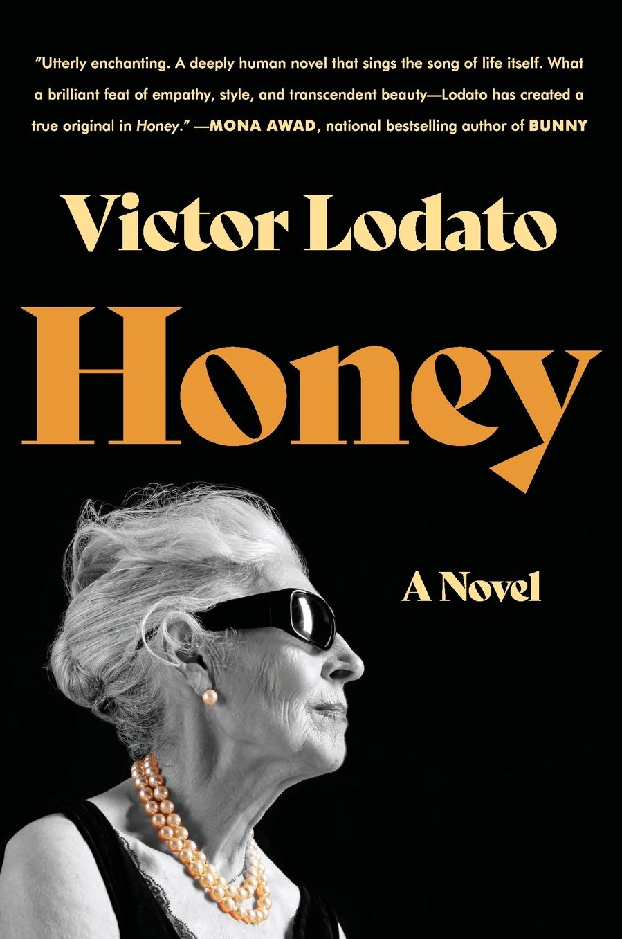 Honey: A Novel