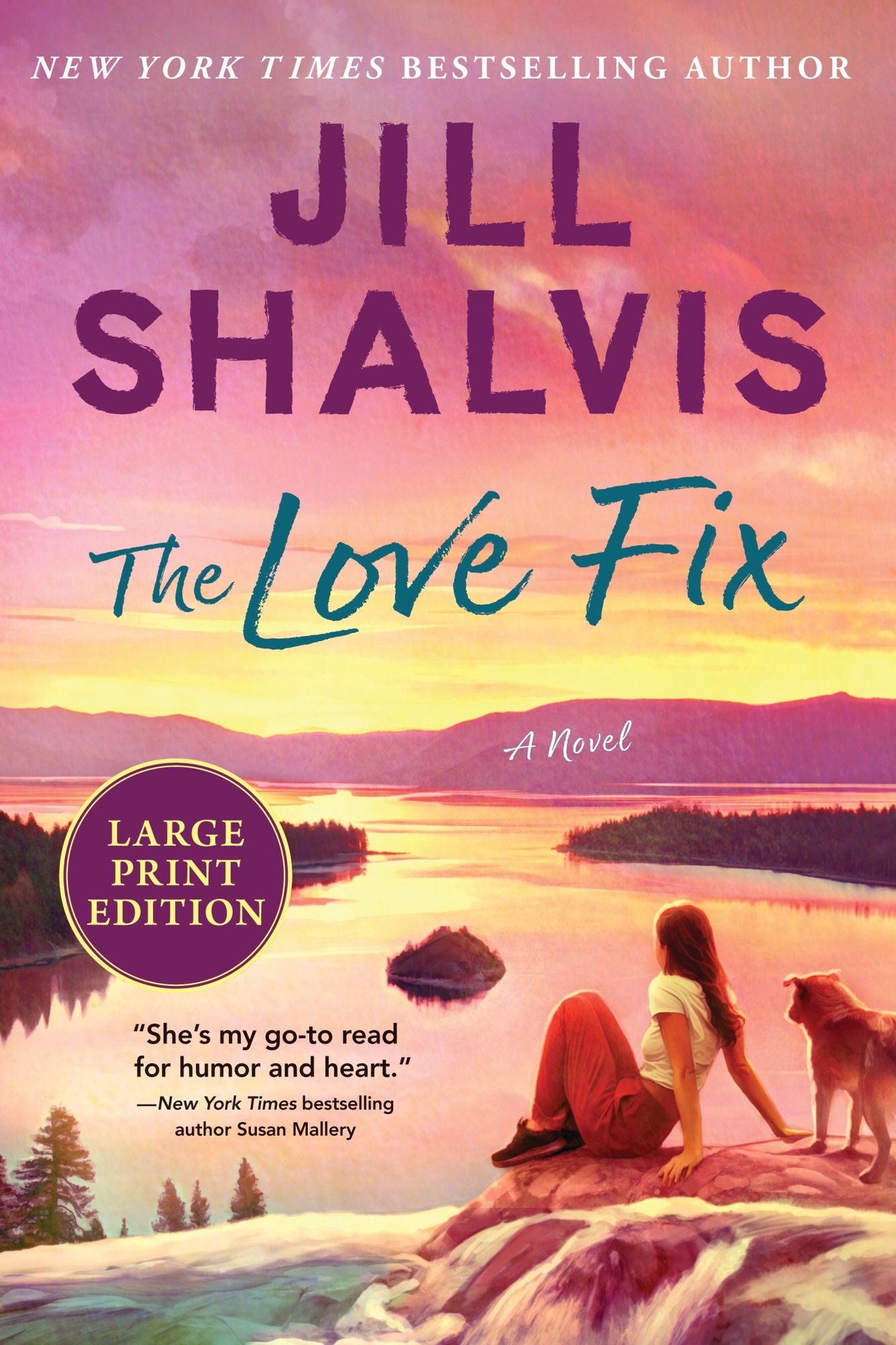 The Love Fix: A Novel