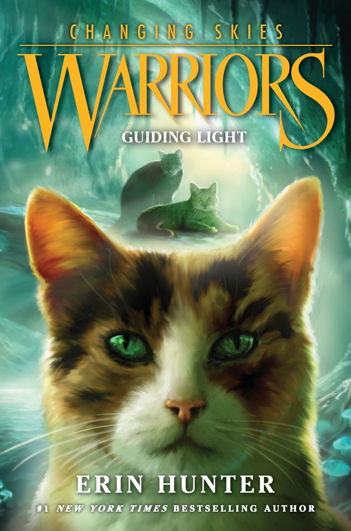 Guiding Light (Warriors: Changing Skies Series #4)