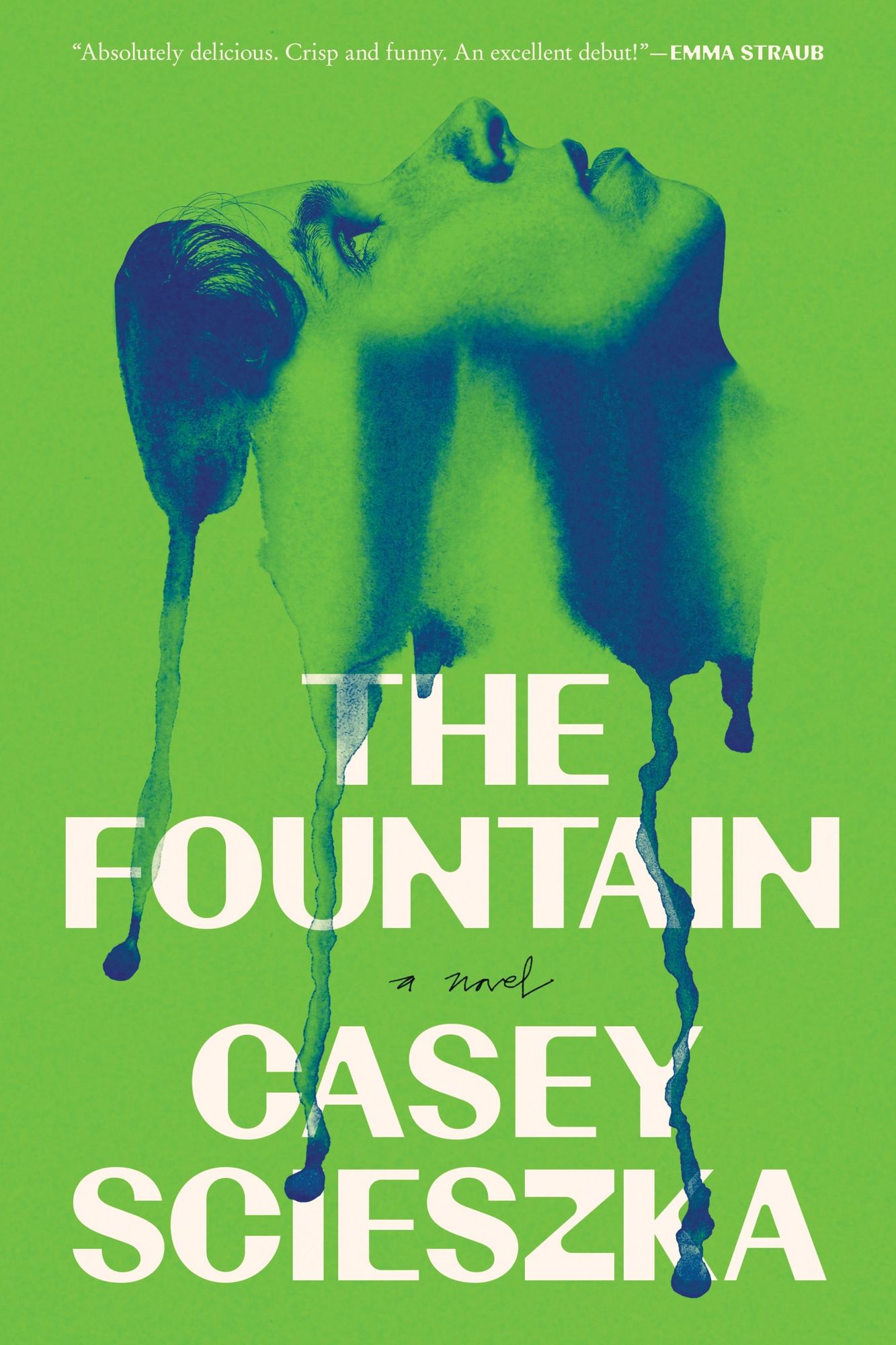 The Fountain: A Novel