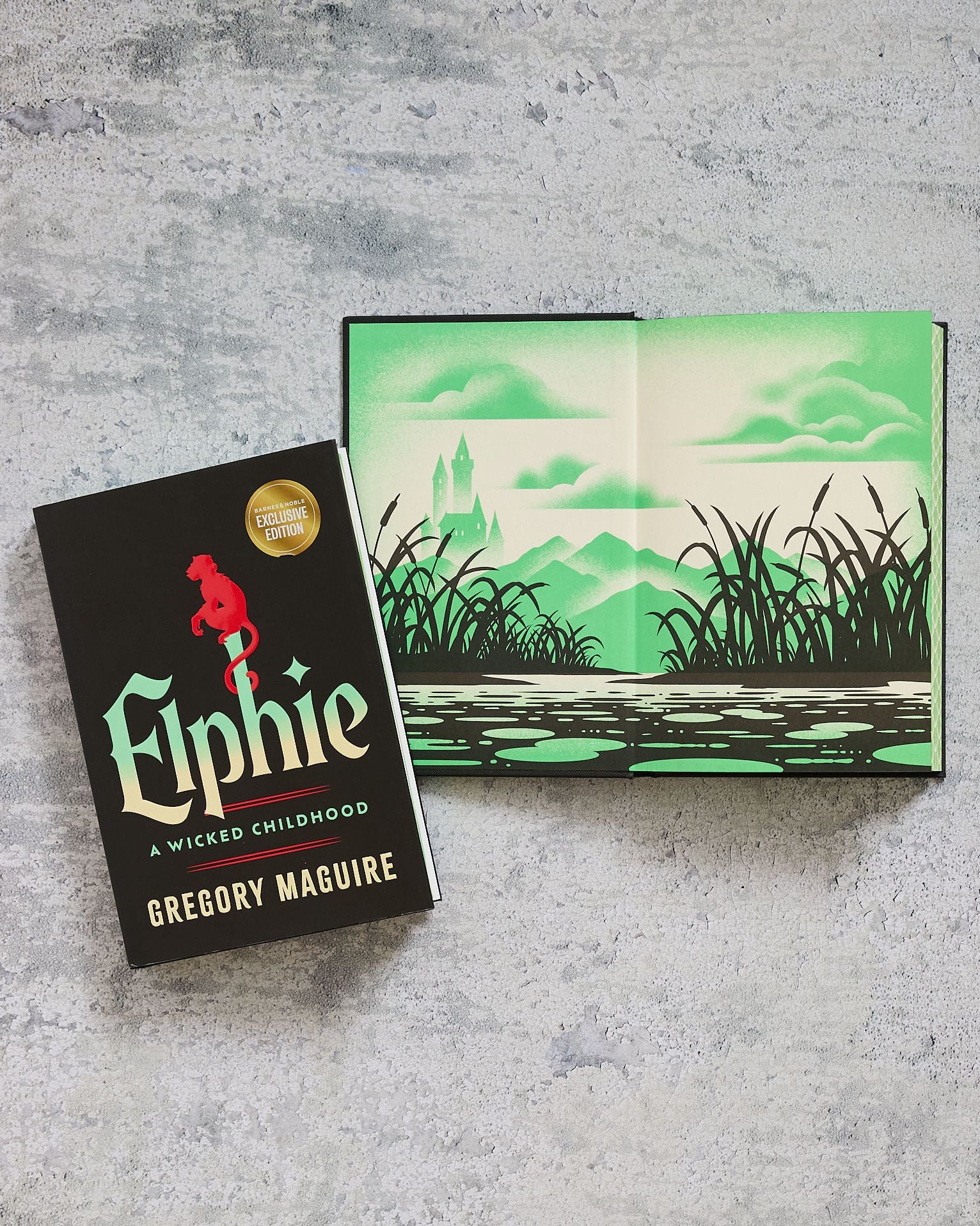 Elphie: A Wicked Childhood (B&N Exclusive Edition)