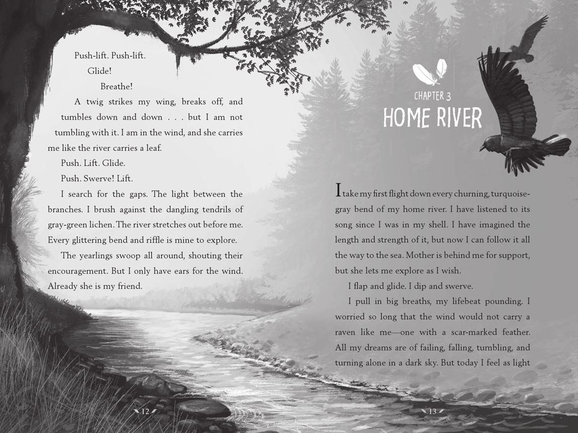 A Raven of the Rainforest